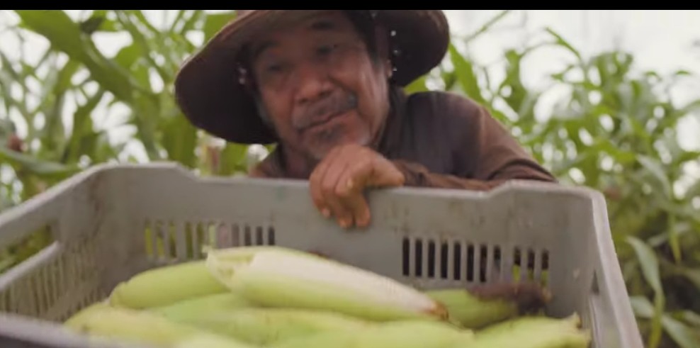 Kekén contribuye a la agricultura