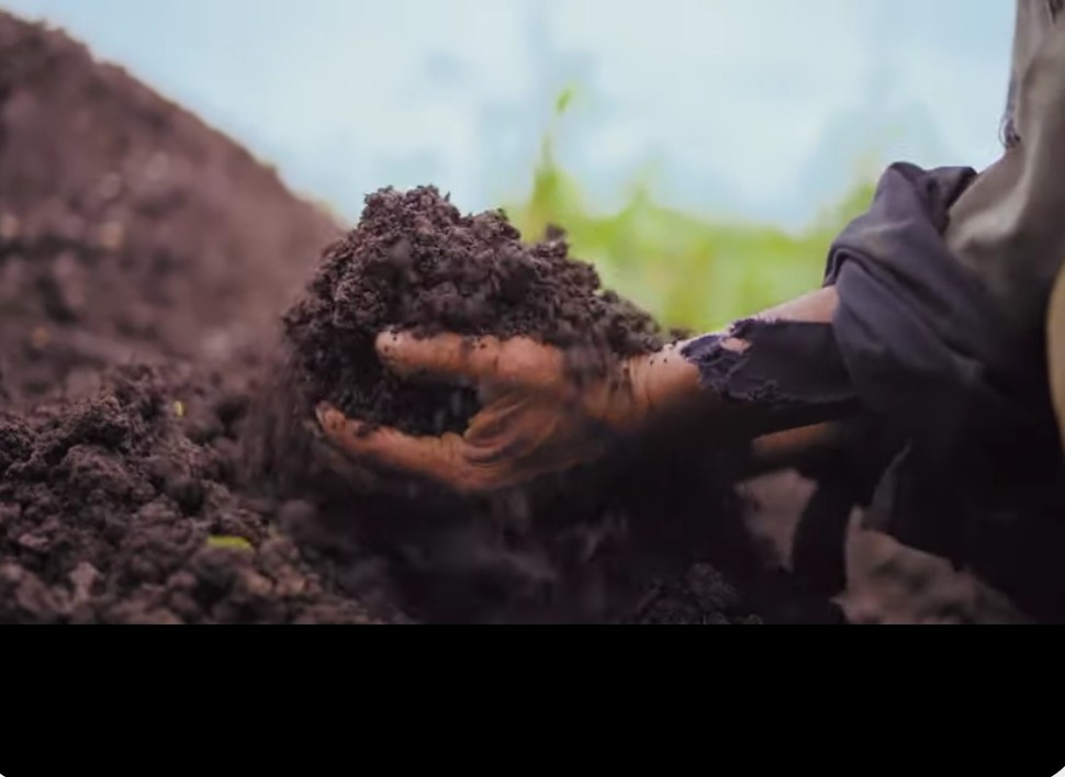 Kekén como industria dedicada a la generación de alimentos saludables