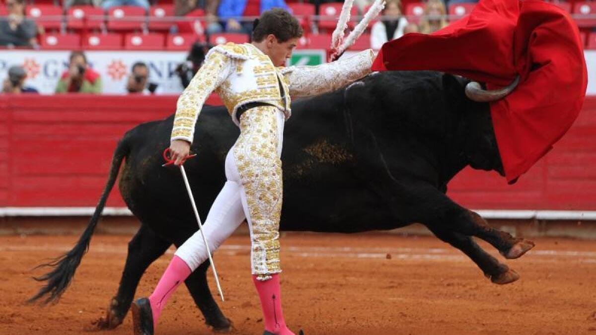 Regresan las corridas de toros a la Plaza México; SCJN elimina suspensión