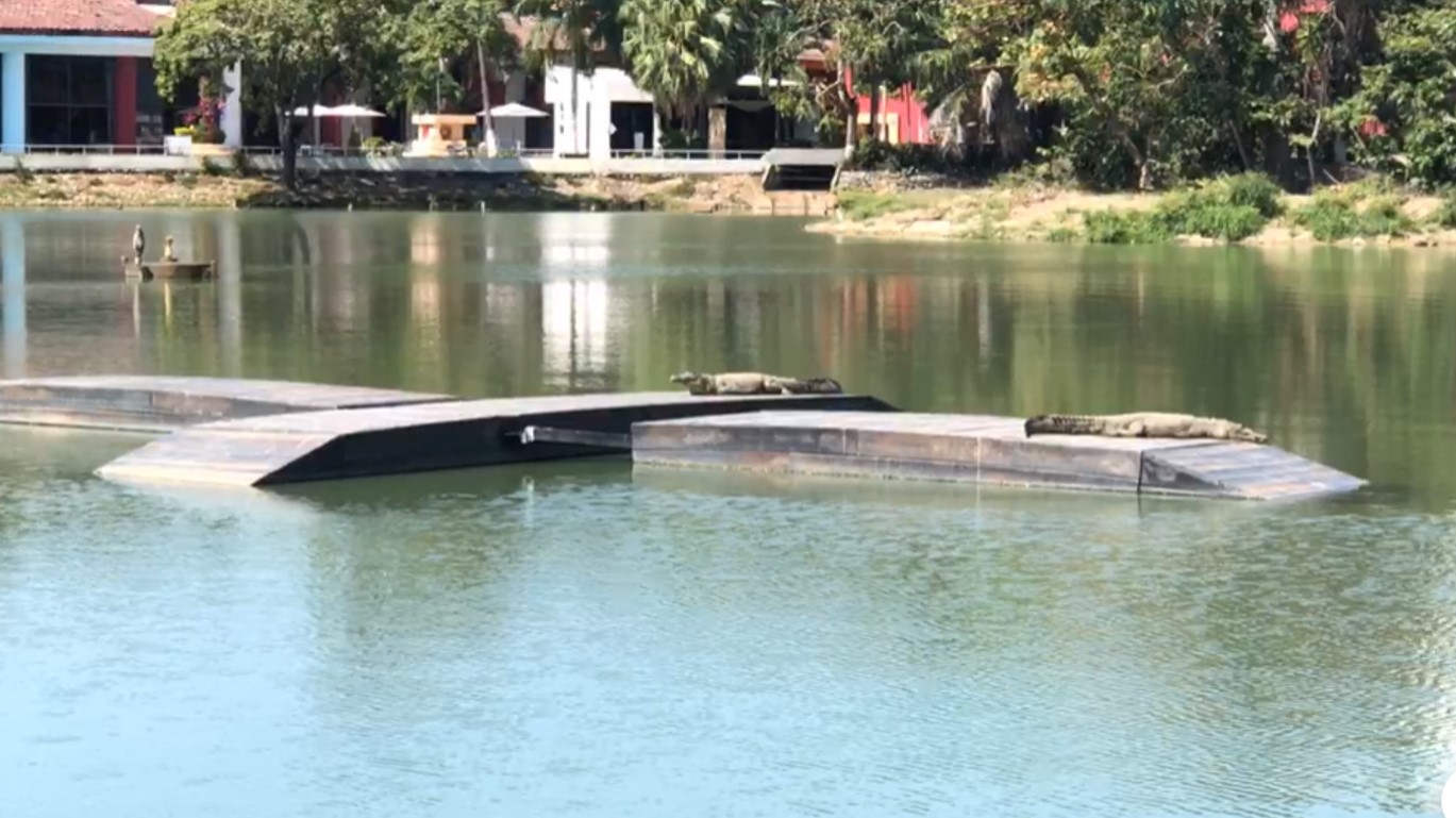 Colocan asoleaderos para cocodrilos en la Laguna de las Ilusiones en Villahermosa