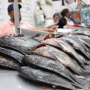 Vigilan venta de pescados y mariscos en Tabasco por temporada de Cuaresma