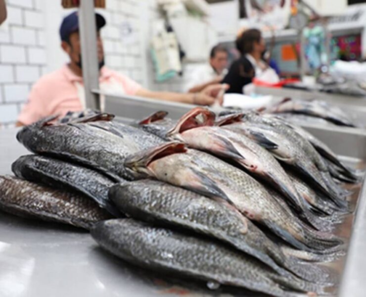 Vigilan venta de pescados y mariscos en Tabasco por temporada de Cuaresma