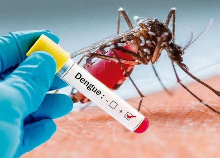 Epidemia de dengue en Tabasco podría durar todo el año, advierte Salud
