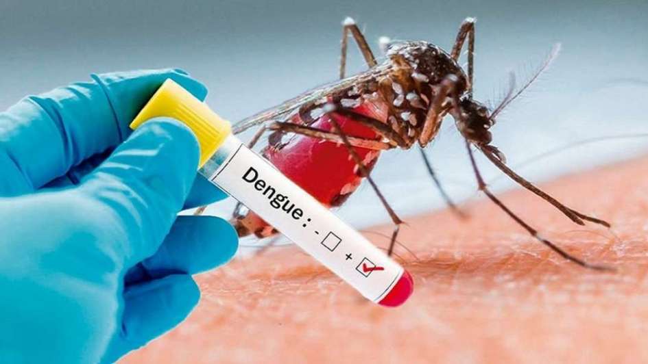 Epidemia de dengue en Tabasco podría durar todo el año, advierte Salud