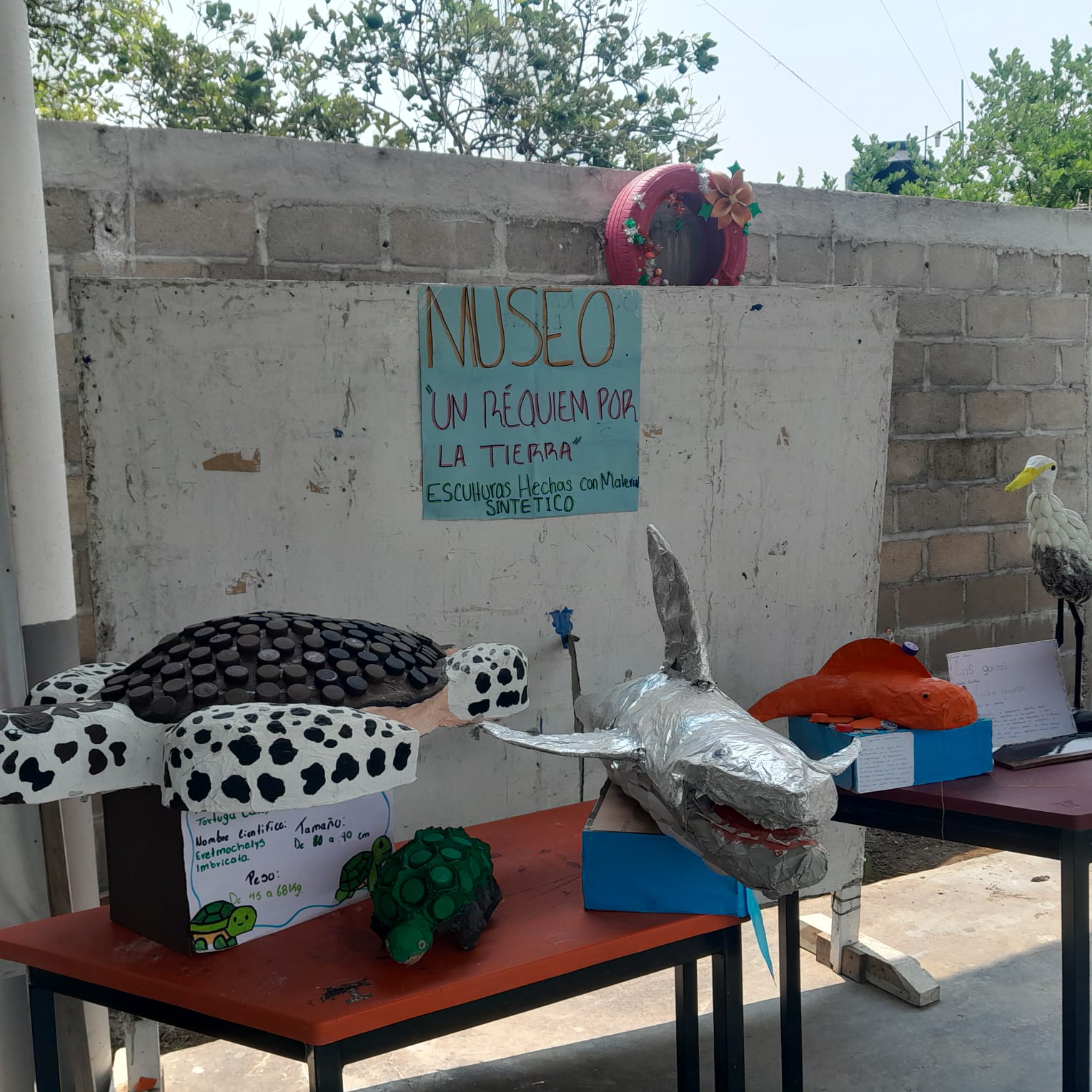 El museo montado en el patio del centro educativo ubicado en el poblado Cocohital