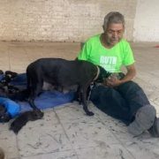 Abuelito pide ayuda para cuidar a su perrita y cachorros recién nacidos