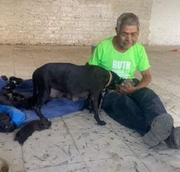 Abuelito pide ayuda para cuidar a su perrita y cachorros recién nacidos