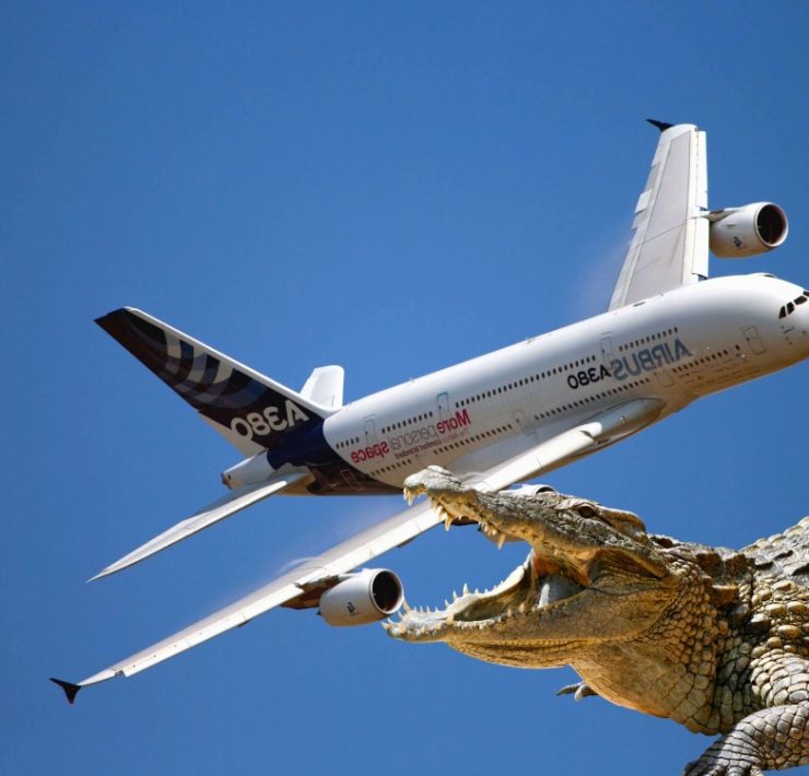 Un avión se estrelló por culpa de un cocodrilo