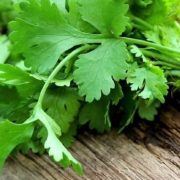 Los costos de Manojos de Cilantro hasta en $700