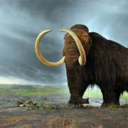 Usan una IA para resucitar células de Mamut