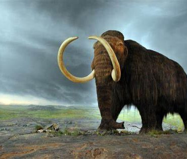 Usan una IA para resucitar células de Mamut