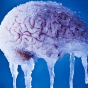 Científicos reviven un cerebro congelado