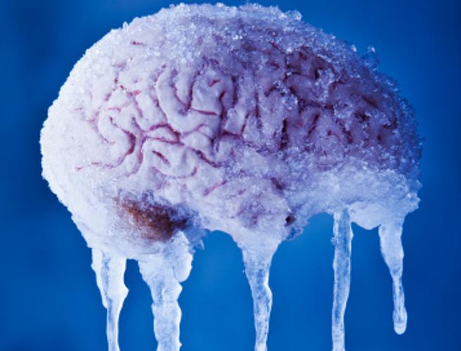 Científicos reviven un cerebro congelado