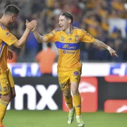 El equipo de Tigres, ya tiene nuevo entrenador, para el Torneo Apertura 2024, luego del despido de Siboldi.