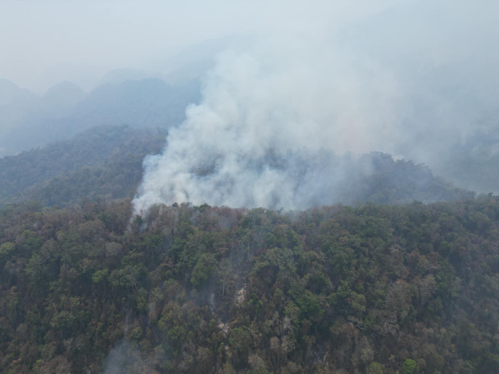 Incendio Forestal en Tacotalpa