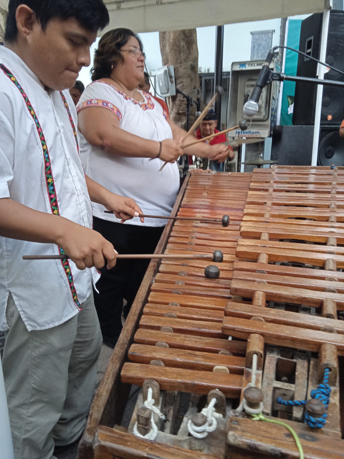 marimba orquesta