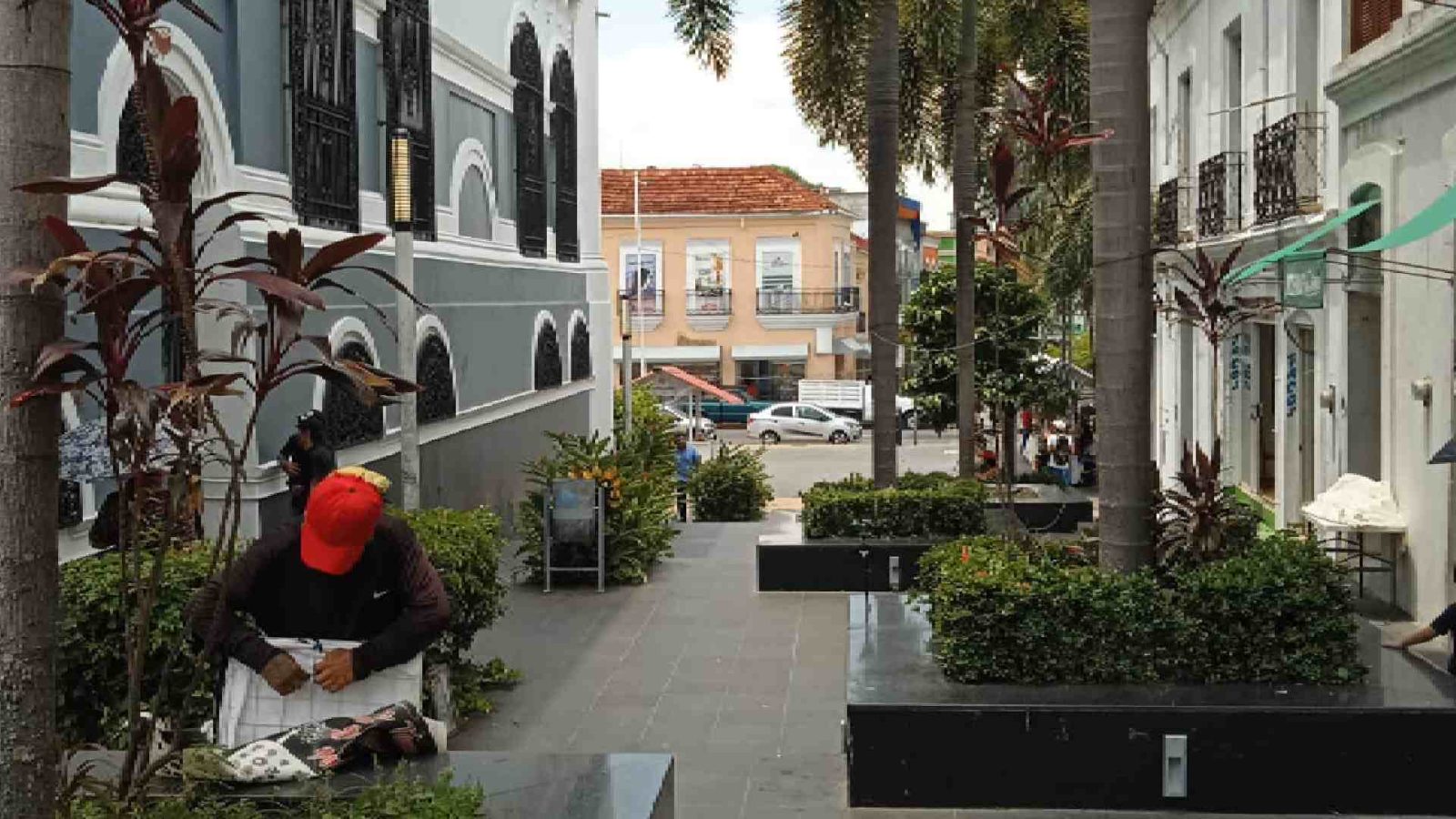 Indudablemente es bella esta gráfica mostrando un tramo de la calle peatonal Vicente Guerrero, a un costado del Centenario Palacio de Gobierno, sede del Poder Ejecutivo. Aquí se conjugan la arquitectura colonial, las jardineras que se usan como bancas para el caminante y desde luego, también destacan las palmeras que hacen de este lugar un agradable espacio urbano.