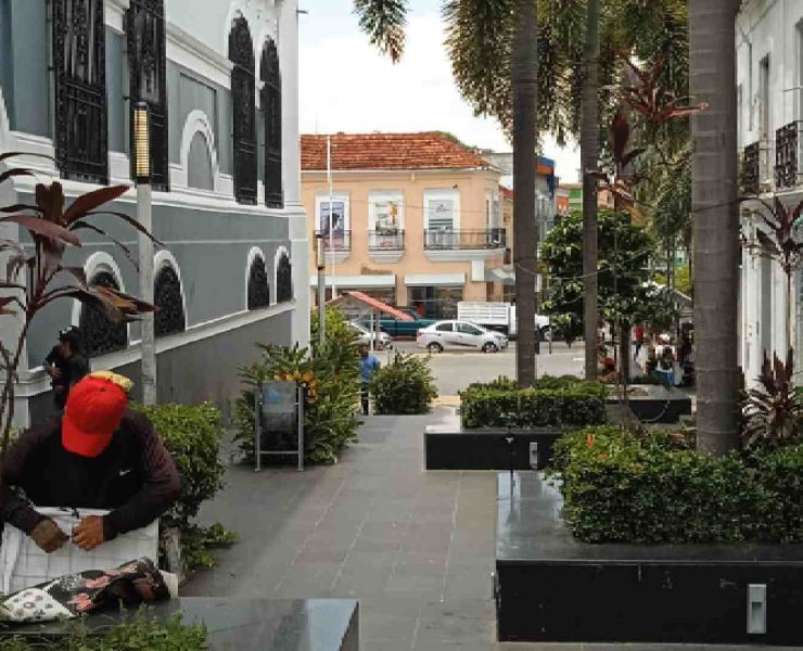 Indudablemente es bella esta gráfica mostrando un tramo de la calle peatonal Vicente Guerrero, a un costado del Centenario Palacio de Gobierno, sede del Poder Ejecutivo. Aquí se conjugan la arquitectura colonial, las jardineras que se usan como bancas para el caminante y desde luego, también destacan las palmeras que hacen de este lugar un agradable espacio urbano.