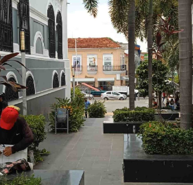 Indudablemente es bella esta gráfica mostrando un tramo de la calle peatonal Vicente Guerrero, a un costado del Centenario Palacio de Gobierno, sede del Poder Ejecutivo. Aquí se conjugan la arquitectura colonial, las jardineras que se usan como bancas para el caminante y desde luego, también destacan las palmeras que hacen de este lugar un agradable espacio urbano.