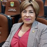 Próxima Legislatura Federal atenderá Reforma Judicial, Infonavit e ISSSTE: Rosa María Hernández