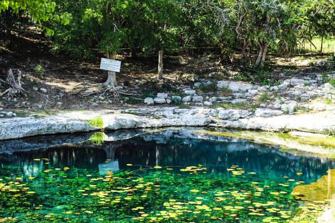 Contaminan cenotes mafia inmobiliaria