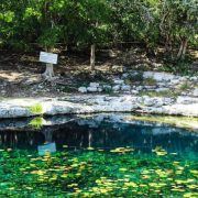 Contaminan cenotes mafia inmobiliaria