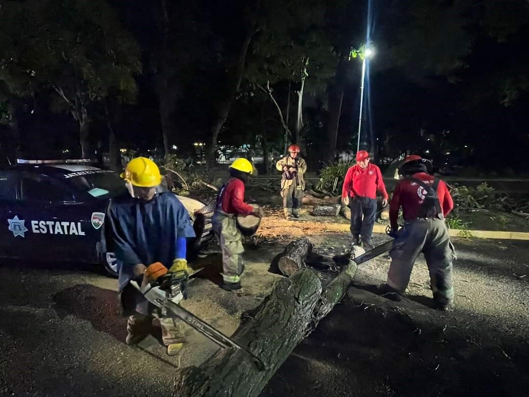 Tormenta en Villahermosa provocó caída de árboles, anegaciones y choques