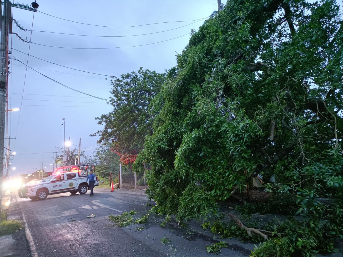 Tromba en Tabasco causó caída de árboles y mega-apagón