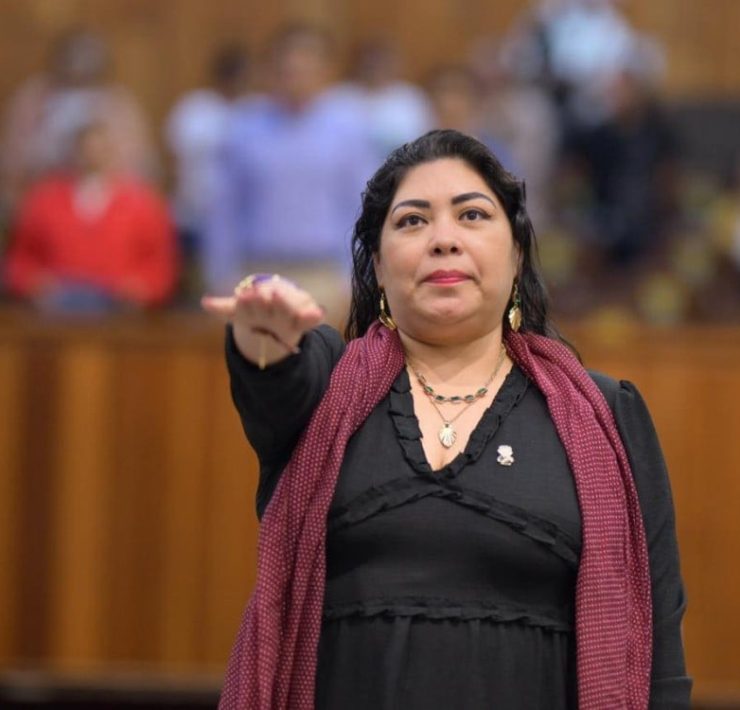 Norma Leonor Mendoza asumió como diputada del Distrito XIV tras muerte Fernando Arteaga