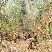 Incendios forestales en Tabasco afectaron 6 mil hectáreas: CONAFOR