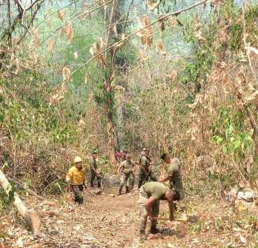 Incendios forestales en Tabasco afectaron 6 mil hectáreas: CONAFOR