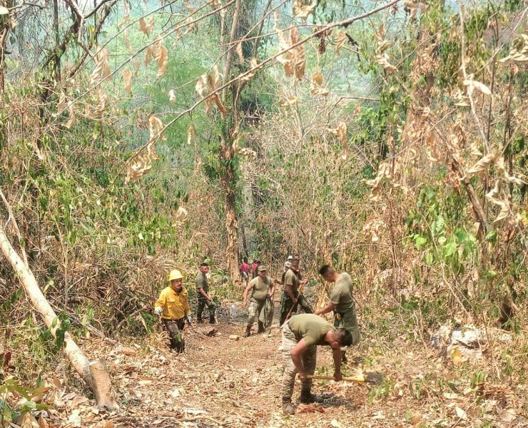 Incendios forestales en Tabasco afectaron 6 mil hectáreas: CONAFOR