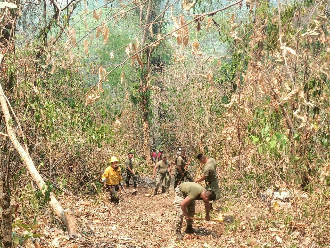 Incendios forestales en Tabasco afectaron 6 mil hectáreas: CONAFOR