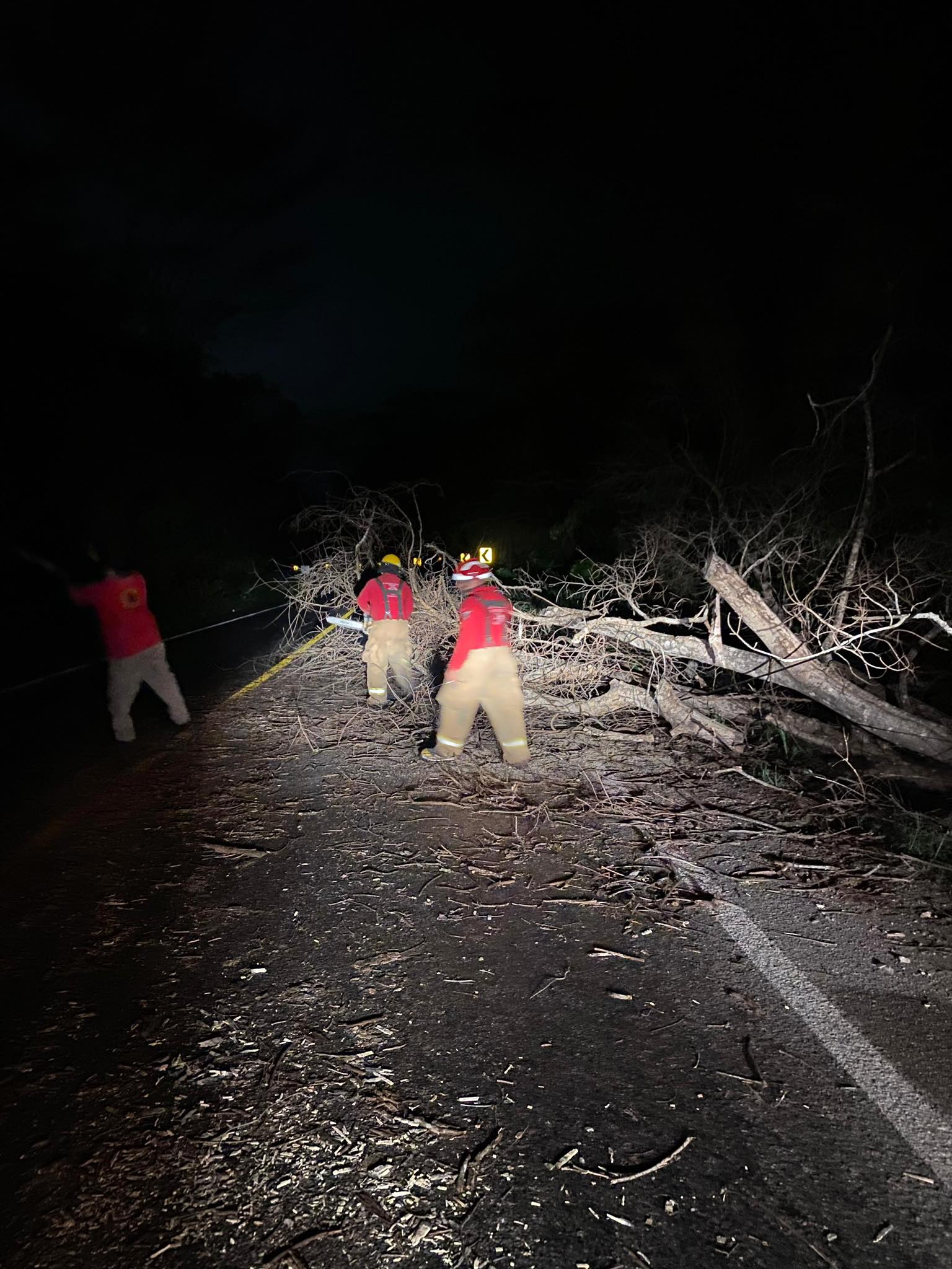 caída de dos árboles a la altura de El Agave en Teapa