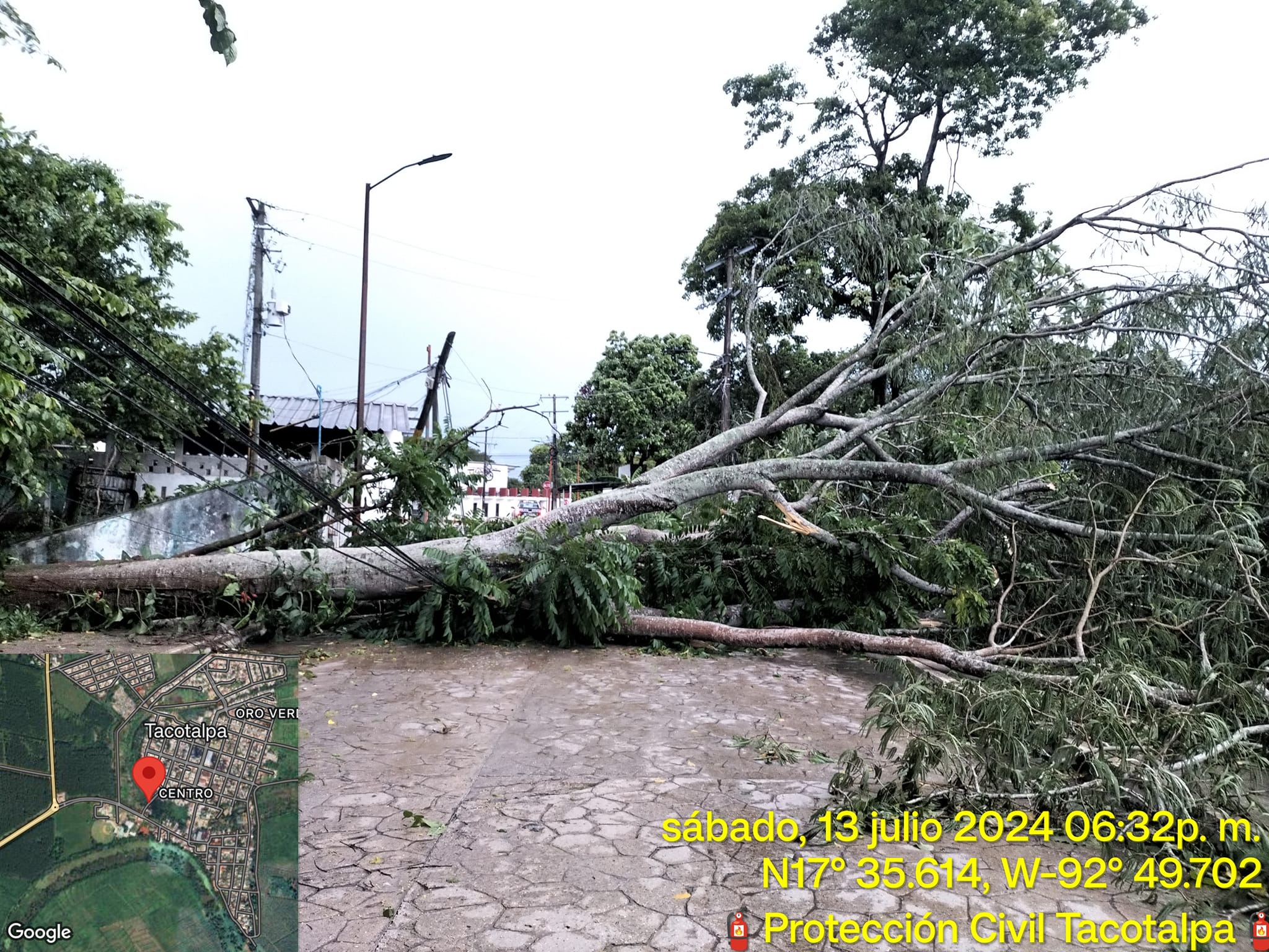 árbol afecto líneas eléctricas, 3 postes de Telmex, líneas de Teléfono y de Fibra óptica.