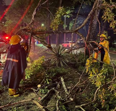 Tormenta en Villahermosa provocó caída de árboles, anegaciones y choques