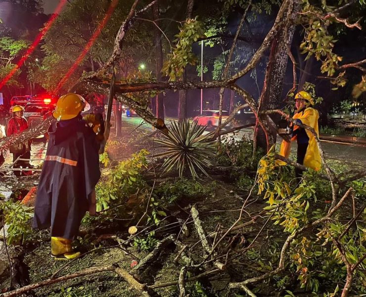 Tormenta en Villahermosa provocó caída de árboles, anegaciones y choques