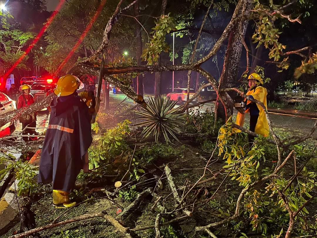 Tormenta en Villahermosa provocó caída de árboles, anegaciones y choques