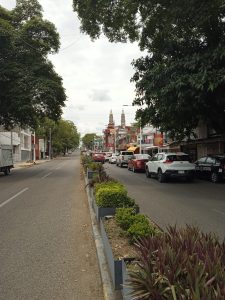 Este es un ejemplo de lo que le espera a lo que ha sido el bello Paseo Tabasco, pero que ahora por una ocurrencia genial será convertida  en una plancha de concreto.