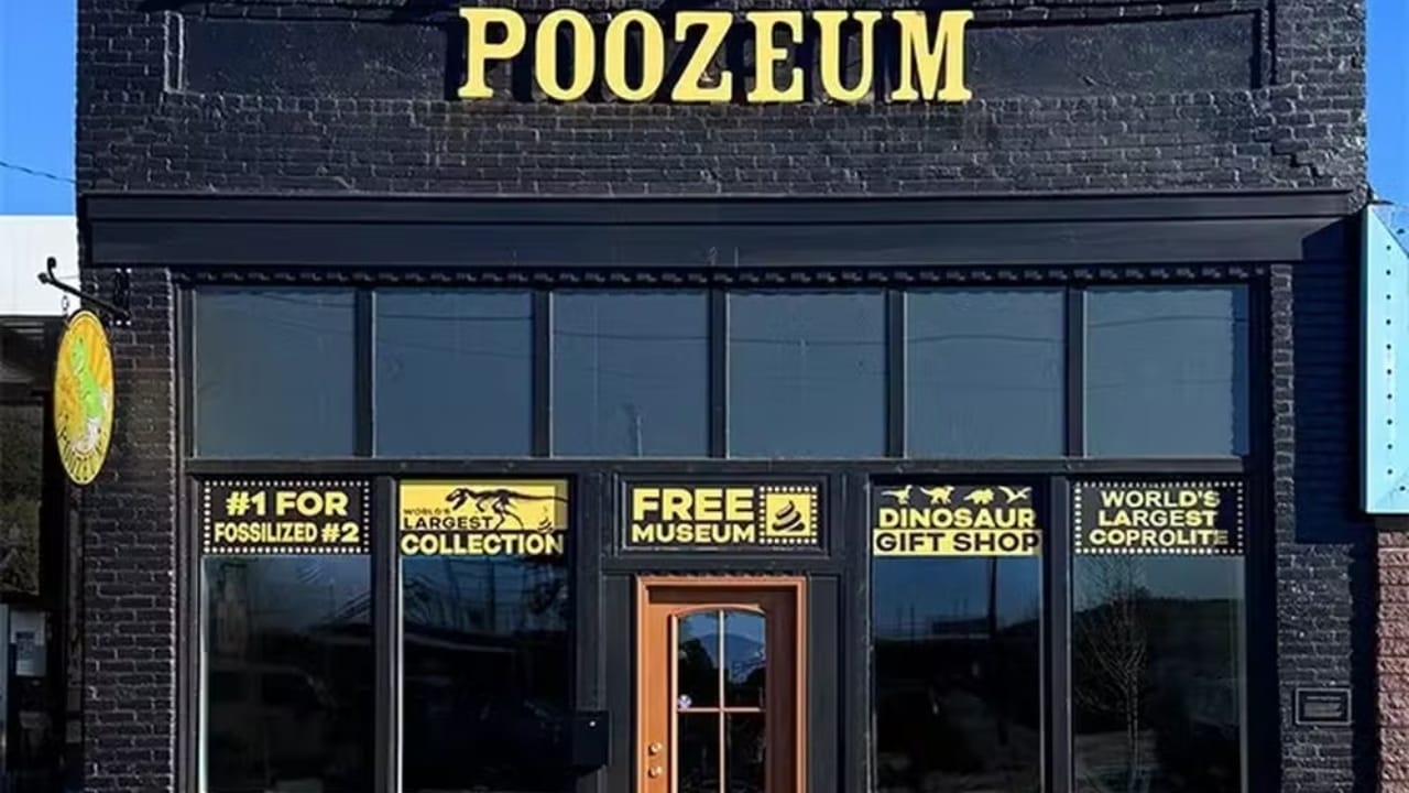 "Poozeum" un museo de heces fosilizadas