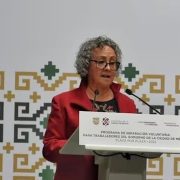 Nombra Sheinbaum a Bertha Gómez parte de su equipo económico