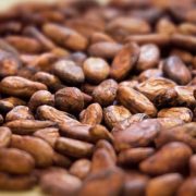 Incremento del precio del cacao afecta a Tabasco