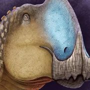 ¡Descubren Nuevo Dinosaurio en Coahuila: El "Coahuilasaurus"