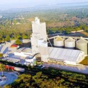 Efectos y gran diferencia de la producción porcina en granjas, con las de traspatio y clandestinas