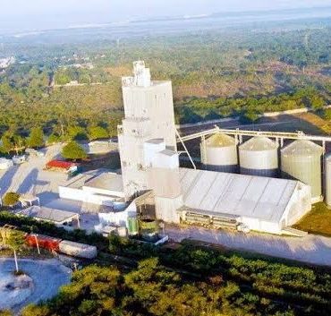 Efectos y gran diferencia de la producción porcina en granjas, con las de traspatio y clandestinas