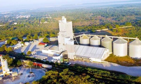 Efectos y gran diferencia de la producción porcina en granjas, con las de traspatio y clandestinas