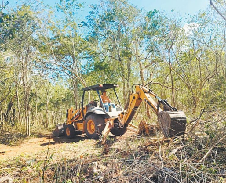 Impune acaparamiento de tierras y contaminación por las inmobiliarias