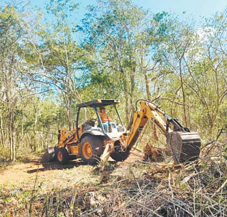 Impune acaparamiento de tierras y contaminación por las inmobiliarias