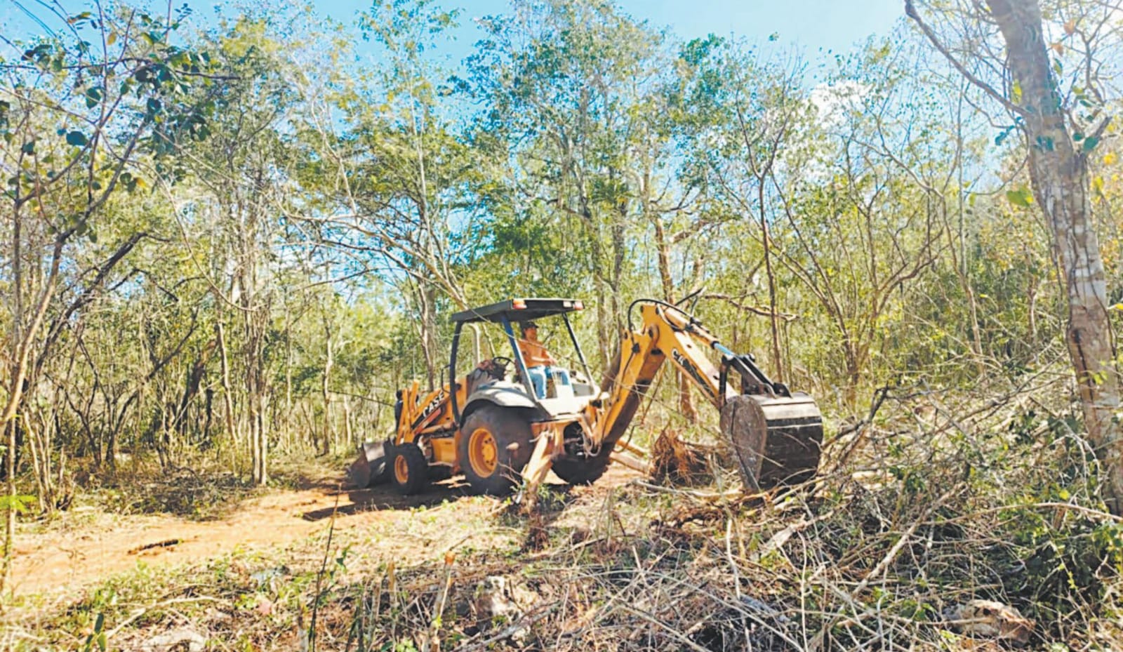 Impune acaparamiento de tierras y contaminación por las inmobiliarias