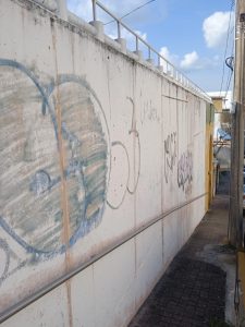 No lo va usted a creer, pero en esta calle Rayón, no se sabe a ciencia cierta quién colocó este pasamanos en este angulo de la pared para así poder bajar y evitar caer en esta bajada de la loma. 